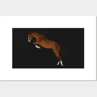 Jumping Bay Horse Posters and Art